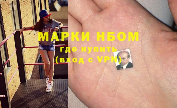 стаф Дмитров