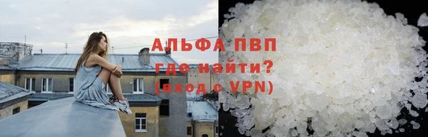 стаф Дмитров