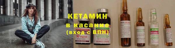 стаф Дмитров
