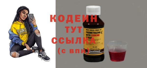 стаф Дмитров