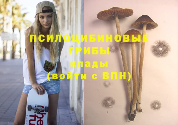 стаф Дмитров