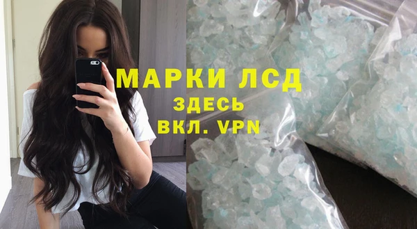 стаф Дмитров