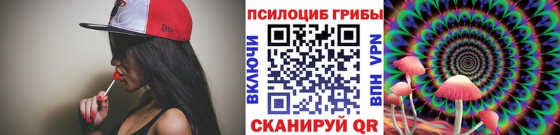 Псилоцибиновые грибы GOLDEN TEACHER  Купить закладки  Зуевка 